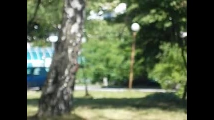 работарите Georgi 3