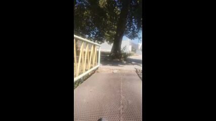 Vid_20230828_133543.mp4