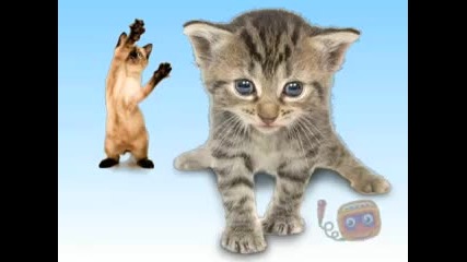 Kitties Singing Joy - Joy - Joy