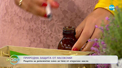 Фармацевтът Альона Гъркова: Естествена защита от насекоми през лятото - „На кафе” (03.07.2020)