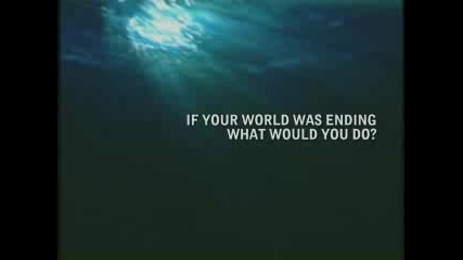 Ocean Life - Oceana