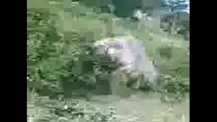 Moto - Kros na Kulata - Gotino Padane..