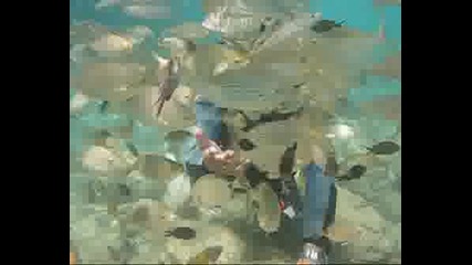На 10 Метра Под Водата