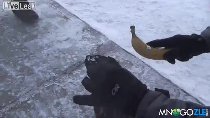 Ето как се кове с леден банан в Сибир