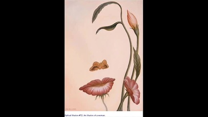 Cool Optical Illusion Pictures