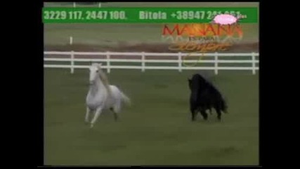 manana es para siempre епизод 16 - част 2