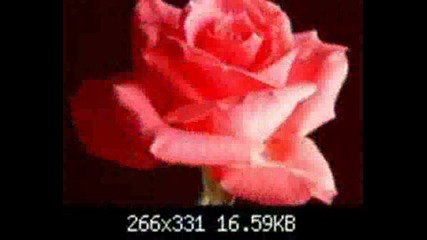 Стефи Now.wmv
