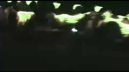 Amazing Sheep Light 
