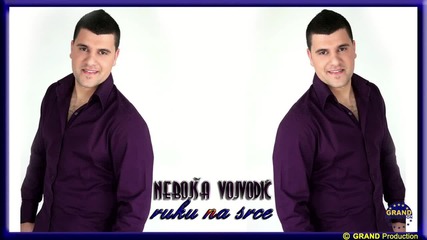 Nebojsa Vojvodic - Ruku na srce (2012)