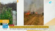 На 50 метра от първите къщи е бил пожарът край пътя Асеновград-Кърджали