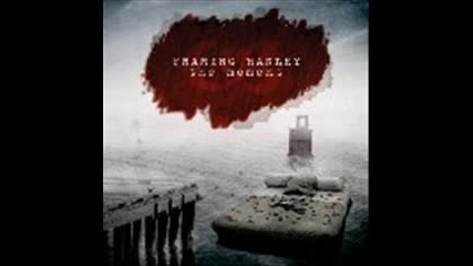 23 Days - Framing Hanley (with lyrics)