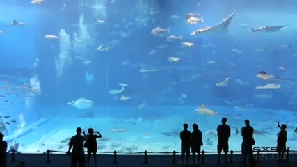 Hевероятния аквариум на Okinawa.