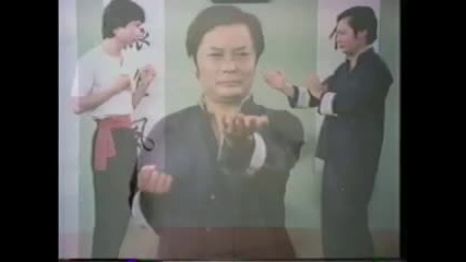 Wing Chun - The Science Of In - Fighting (wong Shun Leung) Част 2 