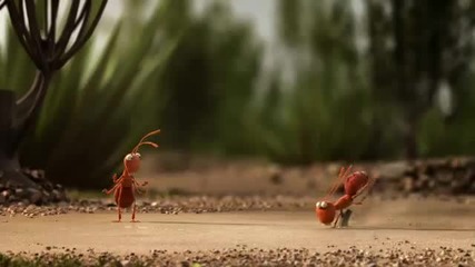 Мафията на Мравките! Смях!