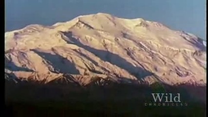 Ng Mining The New American West 