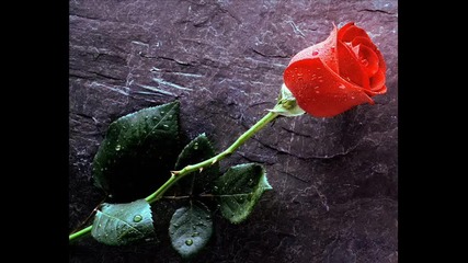 Christos Fourkis - Desert Rose (original Mix) 