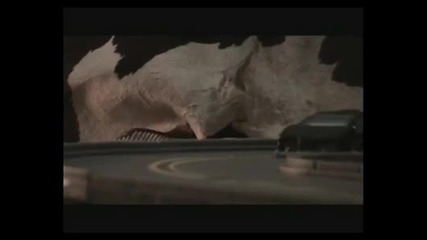 Hot Wheels Extreme
