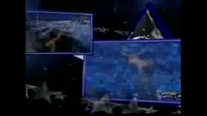 matt vs jeff hardy