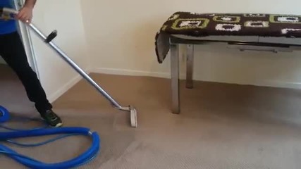 Best Way To Clean Your Carpets