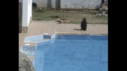 Хотел Елис 