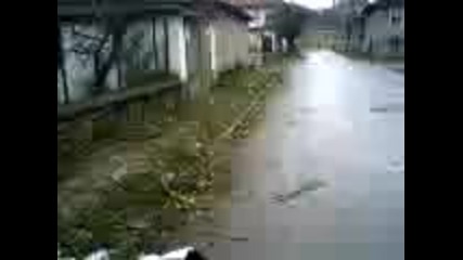 selo lilq4e