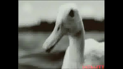 Roxette - Stars