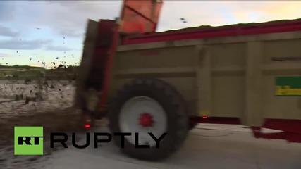 Belgium: 'Furious farmers' block roads & pour dung  in low price protest