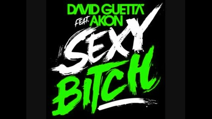 Sexy Chick - David Guetta ft. Akon( bass test )