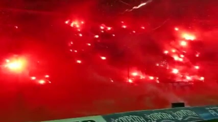 Paok Fc fans 2010