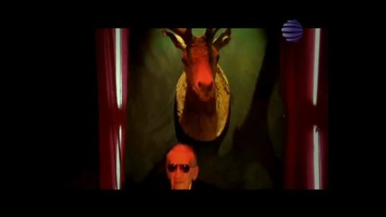 Камелия - Orgasm