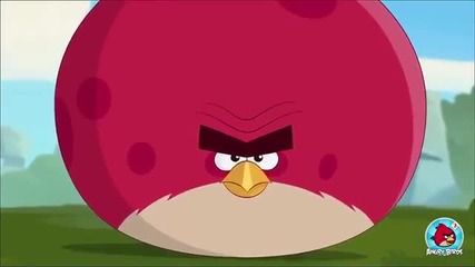 Angry Birds С03 Е08 New