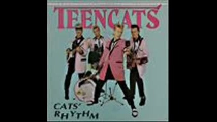 Teencats - Hey babe