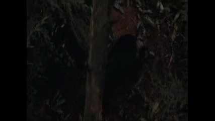 John Rambo _ Rambo 1 - Part 5