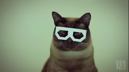 Най великия котешки Dubstep :d