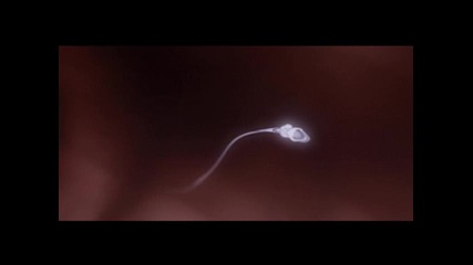 Miracle of life