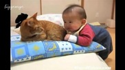 Бебе Срещу Котка Част 2