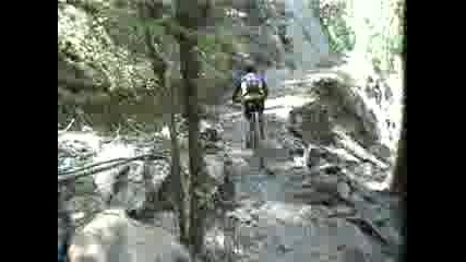 Downhill Downieville USA