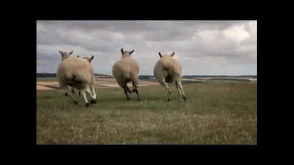 Top Gear Season 16 Episode 2 part 3
