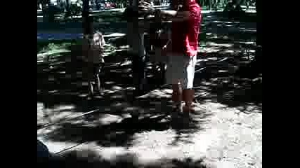 hrisi hodi po vaje
