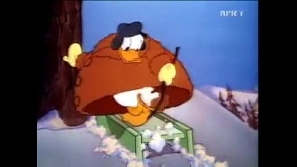 Wald Disney Cartoons - Donald Duck