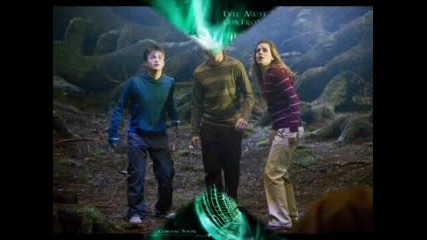 Harry Potter Stand My Ground