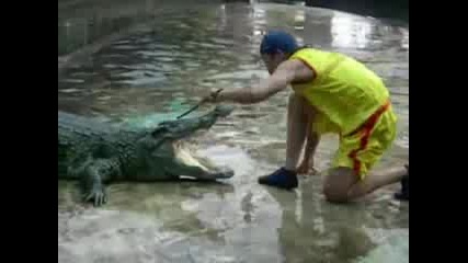 A Man Risk His Arm (and His Life) In A Cro