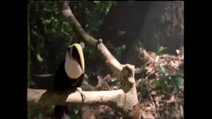 Clip Michael Jackson - Earth Song