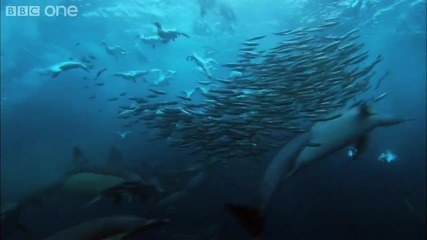 Великите Събития На Природата:подводен Армагедон 