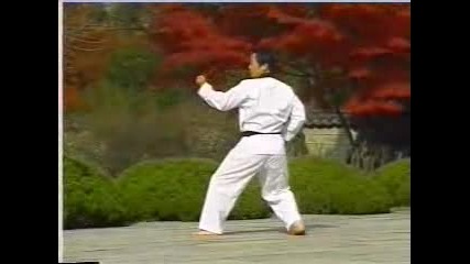 Wtf Taekwondo - Koryo Poomse