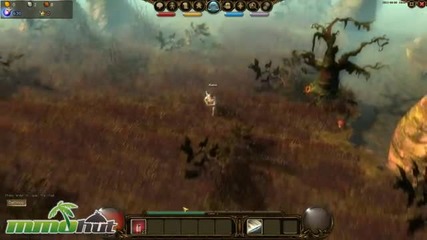 Drakensang Online Gameplay - First Look - 2