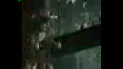 Роботи (2005)