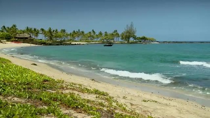 Relaxing Nature Scenes - Relaxing sounds of Ocean waves in Hawaii