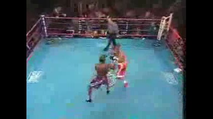Double Knockout in Boxing Match