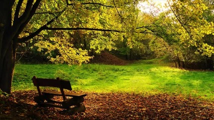 Autumn Dreams